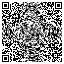 QR code with Professional Modular contacts