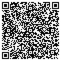 QR code with B-Line contacts