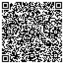 QR code with Professional Drywall contacts