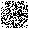 QR code with Zocalo contacts
