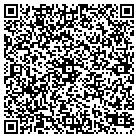QR code with Blue Ridge Industrial Sales contacts