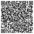 QR code with Tigres contacts