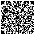 QR code with B-Line contacts