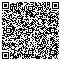 QR code with D Fence contacts
