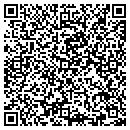 QR code with Public Works contacts