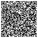 QR code with Sun Devil Auto contacts