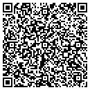 QR code with Curtis W Lindsey CPA contacts