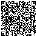QR code with Lisc contacts