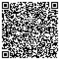 QR code with Cindis contacts