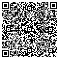 QR code with Fetish contacts