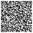 QR code with Collins Dyer & Stokes contacts