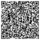 QR code with Project Safe contacts