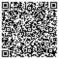 QR code with Magmed contacts