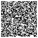 QR code with City Paint & Glass Inc contacts