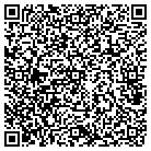 QR code with Professional Engineering contacts