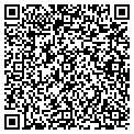 QR code with T-Tommy contacts