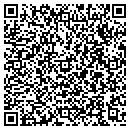 QR code with Cognex Isys Controls contacts