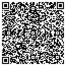 QR code with Carrier IBM Global contacts