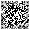 QR code with Newton contacts