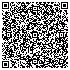 QR code with Professional Tech Group contacts