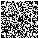 QR code with Professional Window contacts