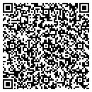 QR code with Public Storage contacts