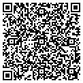 QR code with Nolita contacts