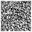 QR code with Public Storage contacts