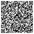 QR code with R Line contacts