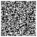 QR code with Project Place contacts