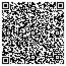 QR code with Practical Furniture contacts