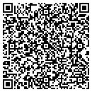 QR code with Cybulski Sales contacts