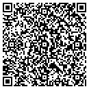 QR code with Professional Services contacts
