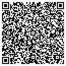 QR code with Carls Floor Covering contacts