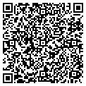 QR code with Blimpie contacts