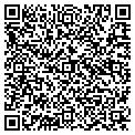 QR code with Cislos contacts