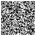 QR code with V F W contacts