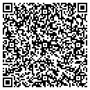 QR code with Blue Moon Courier LLC contacts
