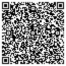 QR code with Central Collections contacts