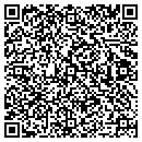 QR code with Bluebird Tree Service contacts