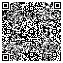 QR code with Teig Mickael contacts
