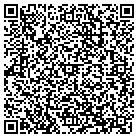 QR code with Badger Development LLC contacts
