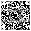QR code with DSM Investments LLC contacts