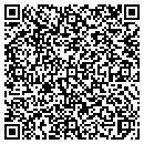 QR code with Precision Tool Repair contacts