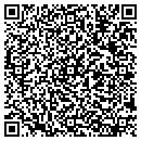 QR code with Carter Consulting Group Inc contacts