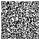 QR code with B V Diosynth contacts