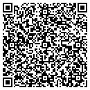 QR code with Bluebird Systems contacts