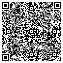 QR code with Carpet Baggers Inc contacts