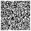 QR code with Public Works contacts