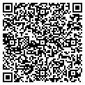 QR code with Levels contacts
